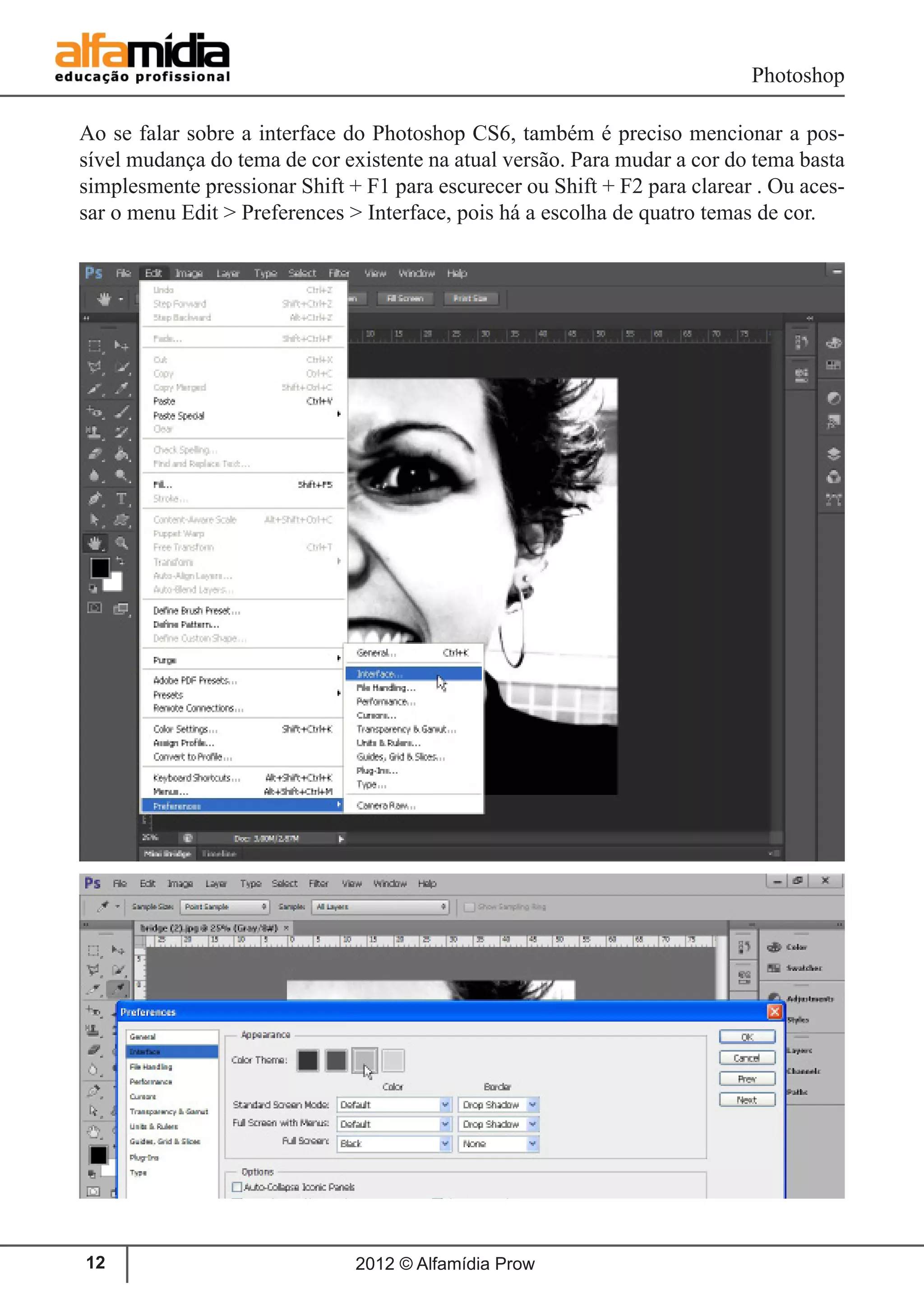 Photoshop
2012 © Alfamídia Prow12
Ao se falar sobre a interface do Photoshop CS6, também é preciso mencionar a pos-
sível mudança do tema de cor existente na atual versão. Para mudar a cor do tema basta
simplesmente pressionar Shift + F1 para escurecer ou Shift + F2 para clarear . Ou aces-
sar o menu Edit > Preferences > Interface, pois há a escolha de quatro temas de cor.
 