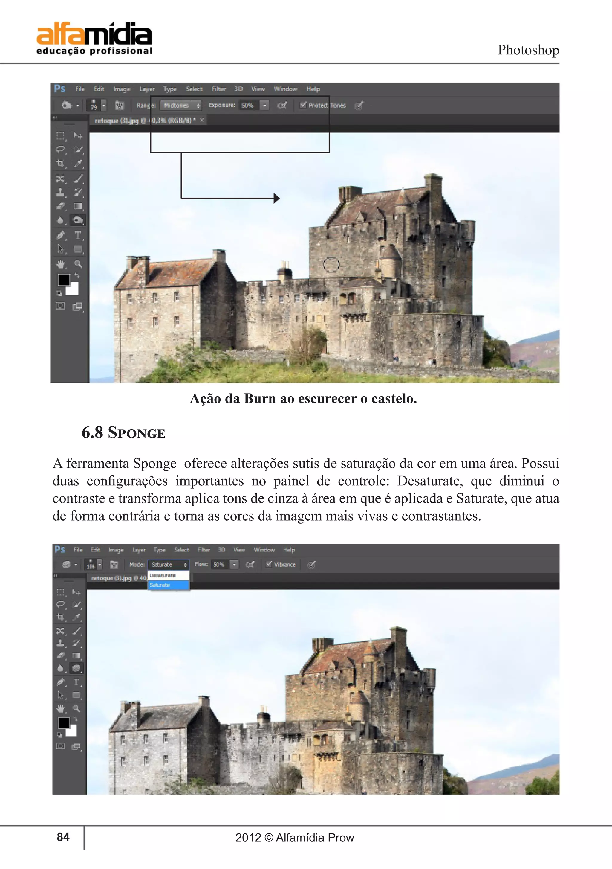 Photoshop
2012 © Alfamídia Prow84
		 Ação da Burn ao escurecer o castelo.
6.8 Sponge
A ferramenta Sponge oferece alterações sutis de saturação da cor em uma área. Possui
duas configurações importantes no painel de controle: Desaturate, que diminui o
contraste e transforma aplica tons de cinza à área em que é aplicada e Saturate, que atua
de forma contrária e torna as cores da imagem mais vivas e contrastantes.
 