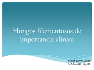 Hongos filamentosos de importancia clínica Paulina Torres Abad. IV Año – BC, H y BS. 