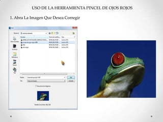 USO DE LA HERRAMIENTA PINCEL DE OJOS ROJOS

1. Abra La Imagen Que Desea Corregir
 