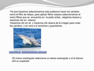 •Ya que hayamos seleccionamos todo podemos hacer los cambios
como el filtro de retazo, para aplicar filtros retazos seleccionamos el
menú filtros que se encuentra en la parte arriba , elegimos textura y
hacemos clic en retazos
•Hacemos clic en ok y hacemos clic afuera de la imagen para notar
los cambios y se vera a si cerramos y guardamos




  •El marco rectangular selecciona un aérea rectangular o si le damos
  shif un cuadrado
 