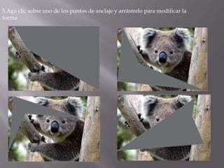 5.Aga clic sobre uno de los puntos de anclaje y arrástrelo para modificar la
forma
 