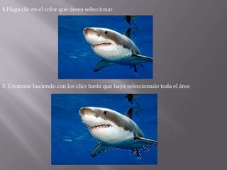 4.Haga clic en el color que desea seleccionar




5. Continúe haciendo con los clics hasta que haya seleccionado toda el área
 