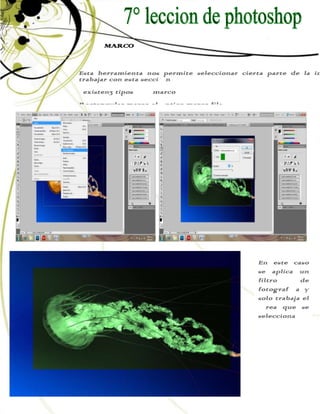 MARCO


Esta herramienta nos permite seleccionar cierta parte de la im
trabajar con esta sección
 existen3 tipos    marco
Rectangular marco elíptico marco fila




                                             En este caso
                                             se aplica un
                                             filtro      de
                                             fotografía y
                                             solo trabaja el
                                             área que se
                                             selecciona
 