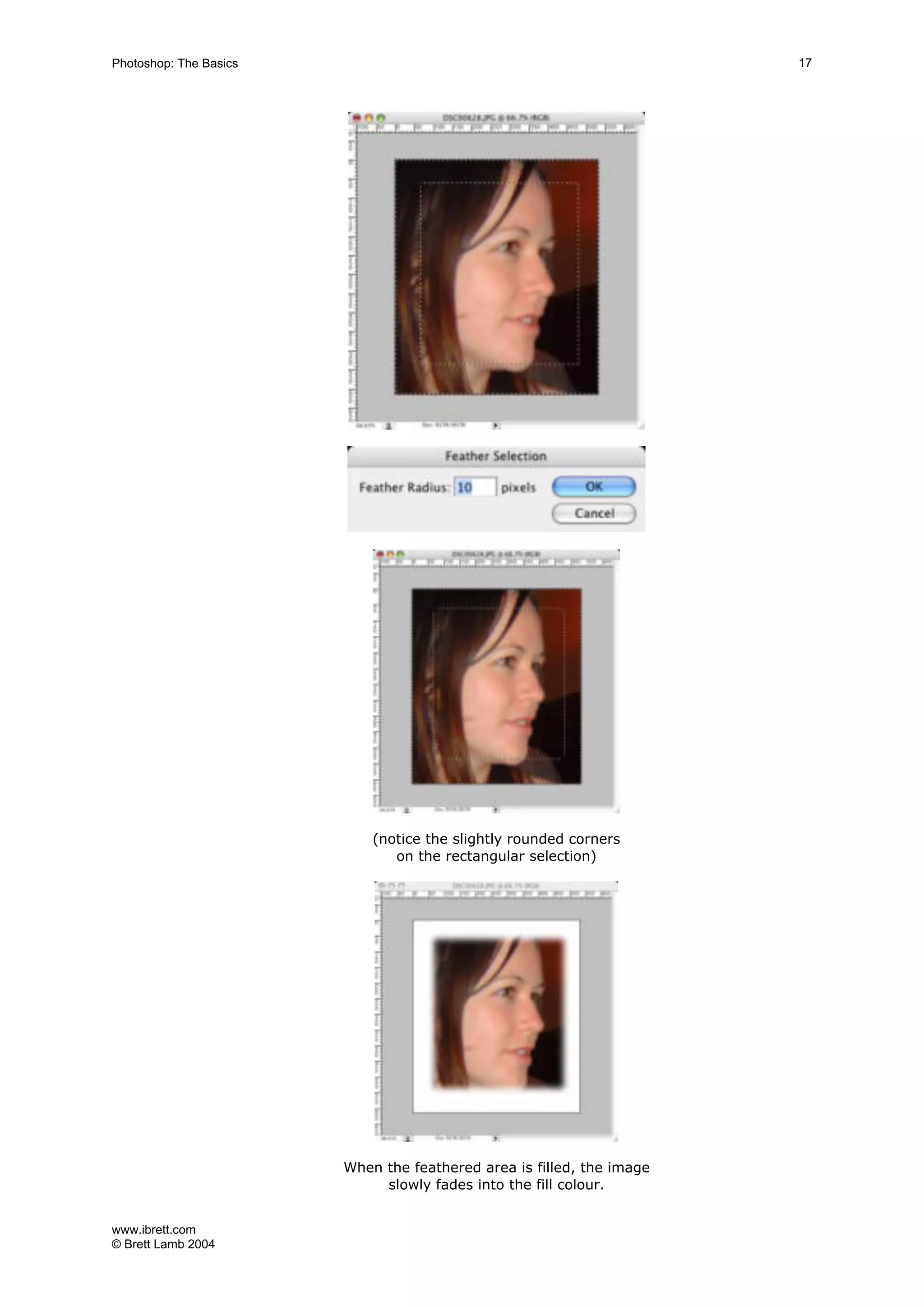 www.ibrett.com
© Brett Lamb 2004
(notice the slightly rounded corners
on the rectangular selection)
When the feathered area is filled, the image
slowly fades into the fill colour.
 