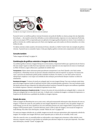 PHOTOSHOP CS3 55
                                                                                                                  Guia do Usuário




                                                       3:1




                                                      24:1
Exemplo de uma imagem vetorial em diferentes níveis de ampliação


É possível mover ou modificar gráficos vetoriais livremente sem perda de detalhes ou clareza, porque eles não dependem
da resolução — eles mantêm arestas bem definidas ao serem redimensionados, impressos em uma impressora PostScript,
salvos em um arquivo PDF ou importados para um aplicativo de imagens gráficas baseado em vetores. Como resultado, os
gráficos vetoriais são a melhor opção para arte-final, como logotipos, que serão usados em diversos tamanhos e em várias
mídias de saída.

Os objetos vetoriais criados usando as ferramentas de forma e desenho no Adobe Creative Suite são exemplos de gráficos
vetoriais. É possível usar os comandos Copiar e Colar para duplicar gráficos vetoriais entre componentes do Creative Suite.


Consulte também
“Sobre imagens de bitmap” na página 54


Combinação de gráficos vetoriais e imagens de bitmap
Ao combinar gráficos vetoriais e imagens bitmap em um documento, é importante lembrar que a aparência da arte-final na
tela nem sempre é igual na mídia final (seja impressão comercial, impressão em uma impressora de mesa ou visualização
na Web). Os fatores a seguir influenciam a qualidade do trabalho final:
Transparência Muitos efeitos adicionam pixels parcialmente transparentes à arte-final. Quando a arte-final contém
transparência, o Photoshop executa um processo chamado achatamento antes de imprimir ou exportar. Na maioria dos
casos, o processo de achatamento padrão produz resultados excelentes. No entanto, se a arte-final contiver áreas de
sobreposição complexas e você requer um resultado de alta resolução, provavelmente desejará visualizar os efeitos do
achatamento.
Resolução da imagem O número de pixels por polegada (ppi) em uma imagem bitmap. Usar uma resolução muito baixa
para uma imagem impressa resulta em aplicação de pixels: saída com pixels grandes e grosseiros. Usar uma resolução muito
alta (pixels menores do que o dispositivo de saída pode produzir) aumenta o tamanho do arquivo sem melhorar a qualidade
do resultado impresso e diminui a velocidade de impressão da arte-final.
Resolução da impressora e freqüência da tela O número de pontos de tinta produzidos por polegada (dpi) e o número de
linhas por polegada (lpi) em uma tela de meio-tom. A relação entre a resolução da imagem, a resolução da impressora e a
freqüência de tela determina a qualidade dos detalhes na imagem impressa.


Canais de cores
Todas as imagens do Photoshop têm um ou mais canais, cada qual armazenando informações sobre elementos de cores na
imagem. O número de canais de cores padrão em uma imagem depende do seu modo de cores. Por padrão, imagens no
modo bitmap, em tons de cinza, duotônicas e de cores indexadas possuem um canal, imagens RGB e Lab possuem três e
imagens CMYK possuem quatro. É possível adicionar canais a todos os tipos de imagens, com exceção de imagens no
modo Bitmap. Para obter mais informações, consulte “Modos de cores” na página 103.

Os canais nas imagens coloridas são, na verdade, imagens em tons de cinza que representam cada componente colorido da
imagem. Por exemplo, uma imagem RGB tem canais separados para os valores da cor vermelha, verde e azul.

Além dos canais de cores, os canaisalfa podem ser adicionados a uma imagem para armazenar e editar seleções como
máscaras, enquanto canais de cor spot podem ser incluídos para adicionar chapas de cor spot para impressão. Para obter
mais informações, consulte “Canais” na página 246.
 