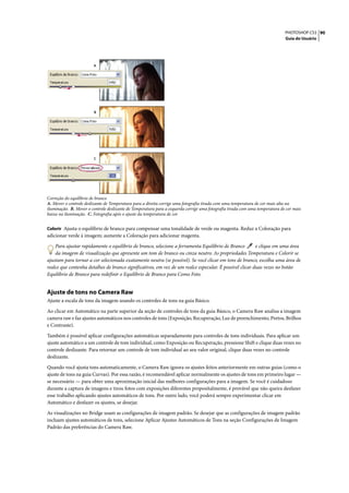 PHOTOSHOP CS3 90
                                                                                                                              Guia do Usuário




                        A




                        B




                        C




Correção do equilíbrio de branco
A. Mover o controle deslizante de Temperatura para a direita corrige uma fotografia tirada com uma temperatura de cor mais alta na
iluminação. B. Mover o controle deslizante de Temperatura para a esquerda corrige uma fotografia tirada com uma temperatura de cor mais
baixa na iluminação. C. Fotografia após o ajuste da temperatura de cor


Colorir Ajusta o equilíbrio de branco para compensar uma tonalidade de verde ou magenta. Reduz a Coloração para
adicionar verde à imagem; aumente a Coloração para adicionar magenta.

    Para ajustar rapidamente o equilíbrio de branco, selecione a ferramenta Equilíbrio de Branco         e clique em uma área
    da imagem de visualização que apresente um tom de branco ou cinza neutro. As propriedades Temperatura e Colorir se
ajustam para tornar a cor selecionada exatamente neutra (se possível). Se você clicar em tons de branco, escolha uma área de
realce que contenha detalhes de branco significativos, em vez de um realce especular. É possível clicar duas vezes no botão
Equilíbrio de Branco para redefinir o Equilíbrio de Branco para Como Foto.


Ajuste de tons no Camera Raw
Ajuste a escala de tons da imagem usando os controles de tons na guia Básico.

Ao clicar em Automático na parte superior da seção de controles de tons da guia Básico, o Camera Raw analisa a imagem
camera raw e faz ajustes automáticos nos controles de tons (Exposição, Recuperação, Luz de preenchimento, Pretos, Brilhos
e Contraste).

Também é possível aplicar configurações automáticas separadamente para controles de tons individuais. Para aplicar um
ajuste automático a um controle de tom individual, como Exposição ou Recuperação, pressione Shift e clique duas vezes no
controle deslizante. Para retornar um controle de tom individual ao seu valor original, clique duas vezes no controle
deslizante.

Quando você ajusta tons automaticamente, o Camera Raw ignora os ajustes feitos anteriormente em outras guias (como o
ajuste de tons na guia Curvas). Por essa razão, é recomendável aplicar normalmente os ajustes de tons em primeiro lugar —
se necessário — para obter uma aproximação inicial das melhores configurações para a imagem. Se você é cuidadoso
durante a captura de imagens e tirou fotos com exposições diferentes propositalmente, é provável que não queira desfazer
esse trabalho aplicando ajustes automáticos de tons. Por outro lado, você poderá sempre experimentar clicar em
Automático e desfazer os ajustes, se desejar.

As visualizações no Bridge usam as configurações de imagem padrão. Se desejar que as configurações de imagem padrão
incluam ajustes automáticos de tons, selecione Aplicar Ajustes Automáticos de Tons na seção Configurações de Imagem
Padrão das preferências do Camera Raw.
 