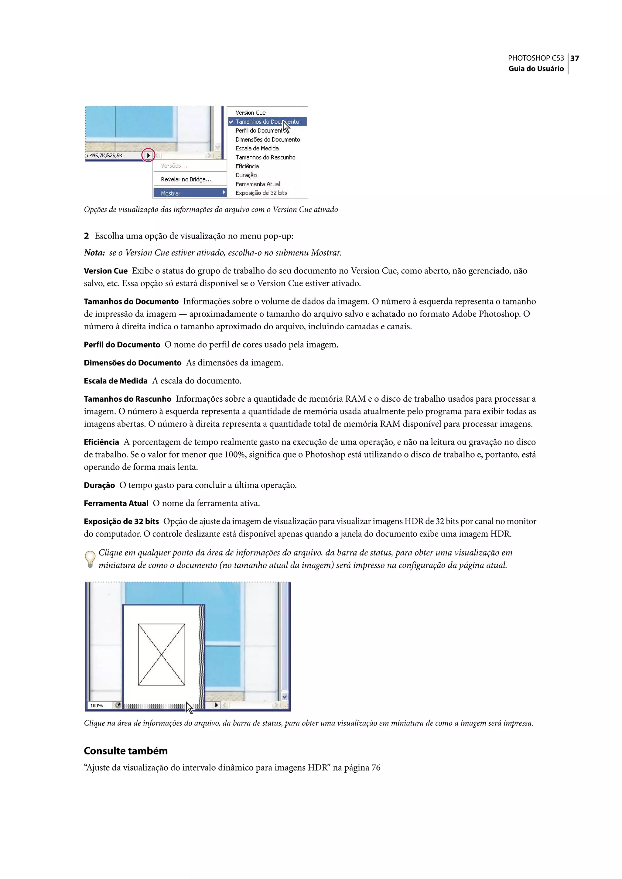 PHOTOSHOP CS3 37
                                                                                                                              Guia do Usuário




Opções de visualização das informações do arquivo com o Version Cue ativado


2 Escolha uma opção de visualização no menu pop-up:
Nota: se o Version Cue estiver ativado, escolha-o no submenu Mostrar.
Version Cue Exibe o status do grupo de trabalho do seu documento no Version Cue, como aberto, não gerenciado, não
salvo, etc. Essa opção só estará disponível se o Version Cue estiver ativado.
Tamanhos do Documento Informações sobre o volume de dados da imagem. O número à esquerda representa o tamanho
de impressão da imagem — aproximadamente o tamanho do arquivo salvo e achatado no formato Adobe Photoshop. O
número à direita indica o tamanho aproximado do arquivo, incluindo camadas e canais.
Perfil do Documento O nome do perfil de cores usado pela imagem.

Dimensões do Documento As dimensões da imagem.

Escala de Medida A escala do documento.

Tamanhos do Rascunho Informações sobre a quantidade de memória RAM e o disco de trabalho usados para processar a
imagem. O número à esquerda representa a quantidade de memória usada atualmente pelo programa para exibir todas as
imagens abertas. O número à direita representa a quantidade total de memória RAM disponível para processar imagens.
Eficiência A porcentagem de tempo realmente gasto na execução de uma operação, e não na leitura ou gravação no disco
de trabalho. Se o valor for menor que 100%, significa que o Photoshop está utilizando o disco de trabalho e, portanto, está
operando de forma mais lenta.
Duração O tempo gasto para concluir a última operação.

Ferramenta Atual O nome da ferramenta ativa.

Exposição de 32 bits Opção de ajuste da imagem de visualização para visualizar imagens HDR de 32 bits por canal no monitor
do computador. O controle deslizante está disponível apenas quando a janela do documento exibe uma imagem HDR.

    Clique em qualquer ponto da área de informações do arquivo, da barra de status, para obter uma visualização em
    miniatura de como o documento (no tamanho atual da imagem) será impresso na configuração da página atual.




Clique na área de informações do arquivo, da barra de status, para obter uma visualização em miniatura de como a imagem será impressa.


Consulte também
“Ajuste da visualização do intervalo dinâmico para imagens HDR” na página 76
 