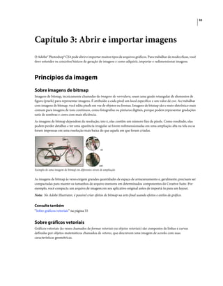 55
Capítulo 3: Abrir e importar imagens
O Adobe® Photoshop® CS4 pode abrir e importar muitos tipos de arquivos gráficos. Para trabalhar de modo eficaz, você
deve entender os conceitos básicos de geração de imagens e como adquirir, importar e redimensionar imagens.
Princípios da imagem
Sobre imagens de bitmap
Imagens de bitmap, tecnicamente chamadas de imagens de varredura, usam uma grade retangular de elementos de
figura (pixels) para representar imagens. É atribuído a cada pixel um local específico e um valor de cor. Ao trabalhar
com imagens de bitmap, você edita pixels em vez de objetos ou formas. Imagens de bitmap são o meio eletrônico mais
comum para imagens de tons contínuos, como fotografias ou pinturas digitais, porque podem representar gradações
sutis de sombras e cores com mais eficiência.
As imagens de bitmap dependem da resolução, isto é, elas contêm um número fixo de pixels. Como resultado, elas
podem perder detalhes e ter uma aparência irregular se forem redimensionadas em uma ampliação alta na tela ou se
forem impressas em uma resolução mais baixa do que aquela em que foram criadas.
Exemplo de uma imagem de bitmap em diferentes níveis de ampliação
As imagens de bitmap às vezes exigem grandes quantidades de espaço de armazenamento e, geralmente, precisam ser
compactadas para manter os tamanhos de arquivo menores em determinados componentes do Creative Suite. Por
exemplo, você compacta um arquivo de imagem em seu aplicativo original antes de importá-lo para um layout.
Nota: No Adobe Illustrator, é possível criar efeitos de bitmap na arte-final usando efeitos e estilos de gráfico.
Consulte também
“Sobre gráficos vetoriais” na página 55
Sobre gráficos vetoriais
Gráficos vetoriais (às vezes chamados de formas vetoriais ou objetos vetoriais) são compostos de linhas e curvas
definidas por objetos matemáticos chamados de vetores, que descrevem uma imagem de acordo com suas
características geométricas.
24:1
3:1
 