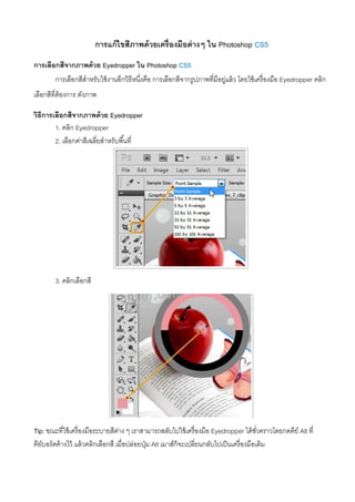 การแก้ไขสีภาพด้วยเครื่องมือต่างๆ ใน Photoshop CS5
การเลือกสีจากภาพด้วย Eyedropper ใน Photoshop CS5
การเลือกสีสําหรับใช้งานอีกวิธีหนึ่งคือ การเลือกสีจากรูปภาพที่มีอยู่แล้ว โดยใช้เครื่องมือ Eyedropper คลิก
เลือกสีที่ต้องการ ดังภาพ
วิธีการเลือกสีจากภาพด้วย Eyedropper
1. คลิก Eyedropper
2. เลือกค่าสีเฉลี่ยสําหรับพื้นที่
3. คลิกเลือกสี
Tip: ขณะที่ใช้เครื่องมือระบายสีต่าง ๆ เราสามารถสลับไปใช้เครื่องมือ Eyedropper ได้ชั่วคราวโดยกดคีย์ Alt ที่
คีย์บอร์ดค้างไว้ แล้วคลิกเลือกสี เมื่อปล่อยปุ่ม Alt เมาส์ก็จะเปลี่ยนกลับไปเป็นเครื่องมือเดิม
 