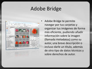 Adobe Bridge
• Adobe Bridge te permite
navegar por tus carpetas y
organizar tus imágenes de forma
más eficiente, pudiendo añadir
información sobre la imagen
(llamada metadatos) como su
autor, una breve descripción o
incluso darle un título, además
de otro tipo de datos técnicos y
sobre derechos de autor.
 