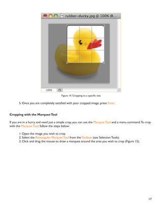 )RU H[DPSOH LI RX HQWHUHG  IRU Width and 10
for Height ZKDWHYHU VL]H RX PDNH WKH ERUGHU WKH DUHD ZLWKLQ LW ZLOO ÀW RQ DQ [ SKRWR
 