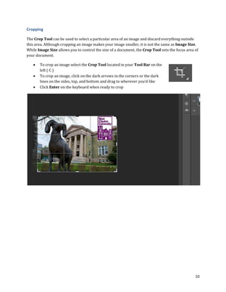10
Cropping
The Crop Tool can be used to select a particular area of an image and discard everything outside
this area. Although cropping an image makes your image smaller, it is not the same as Image Size.
While Image Size allows you to control the size of a document, the Crop Tool sets the focus area of
your document.
 To crop an image select the Crop Tool located in your Tool Bar on the
left ( C )
 To crop an image, click on the dark arrows in the corners or the dark
lines on the sides, top, and bottom and drag to wherever you’d like
 Click Enter on the keyboard when ready to crop
 