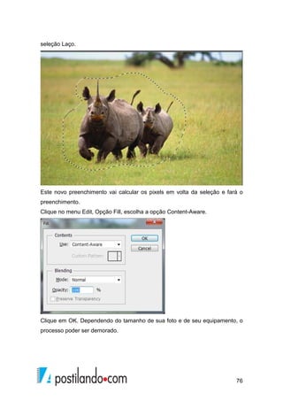 76 
seleção Laço. 
Este novo preenchimento vai calcular os pixels em volta da seleção e fará o 
preenchimento. 
Clique no menu Edit, Opção Fill, escolha a opção Content-Aware. 
Clique em OK. Dependendo do tamanho de sua foto e de seu equipamento, o 
processo poder ser demorado. 
 