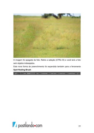 A imagem foi apagada da foto. Retire a seleção (CTRL+D) e você terá a foto 
sem objetos indesejados. 
Esta nova forma de preenchimento foi expandida também para a ferramenta 
Spot Healing Brush 
77 
 