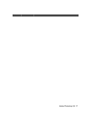 Adobe Photoshop CS 17
 