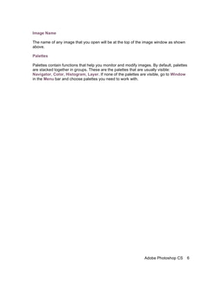 Image Name

The name of any image that you open will be at the top of the image window as shown
above.

Palettes

Palettes contain functions that help you monitor and modify images. By default, palettes
are stacked together in groups. These are the palettes that are usually visible:
Navigator, Color, Histogram, Layer. If none of the palettes are visible, go to Window
in the Menu bar and choose palettes you need to work with.




                                                               Adobe Photoshop CS      6
 