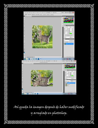 Así queda la imagen después de haber modificado
           y arreglado en photoshop.
 