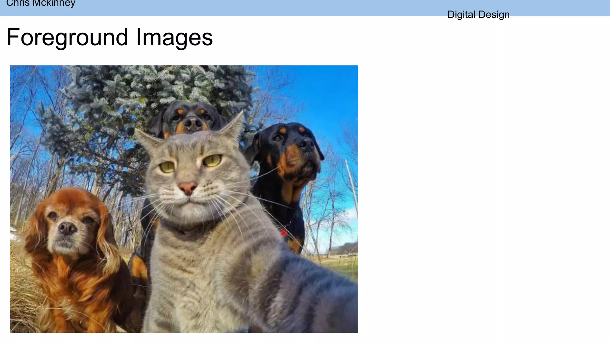 Chris Mckinney
Digital Design
Foreground Images
 