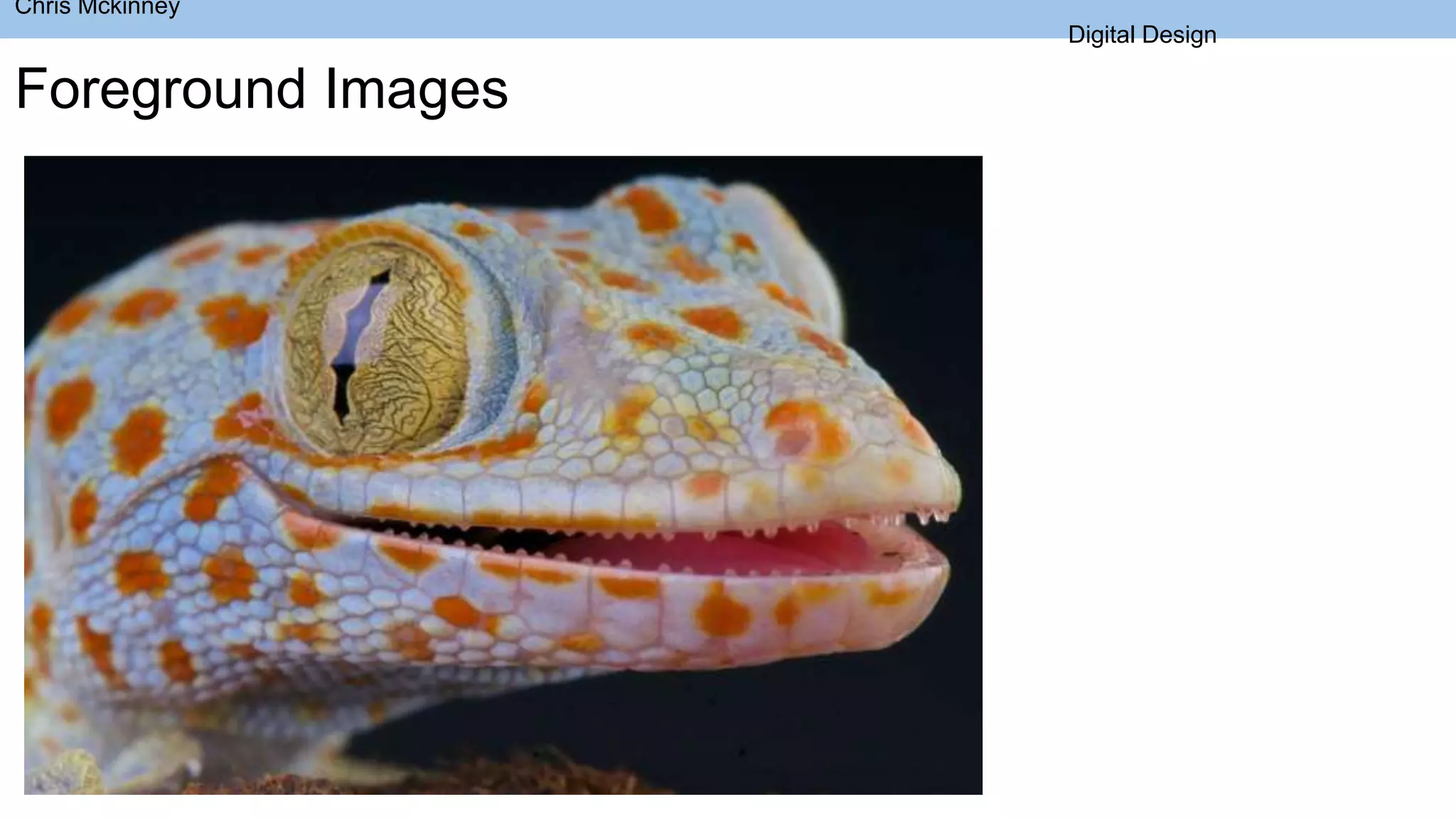 Chris Mckinney
Digital Design
Foreground Images
 