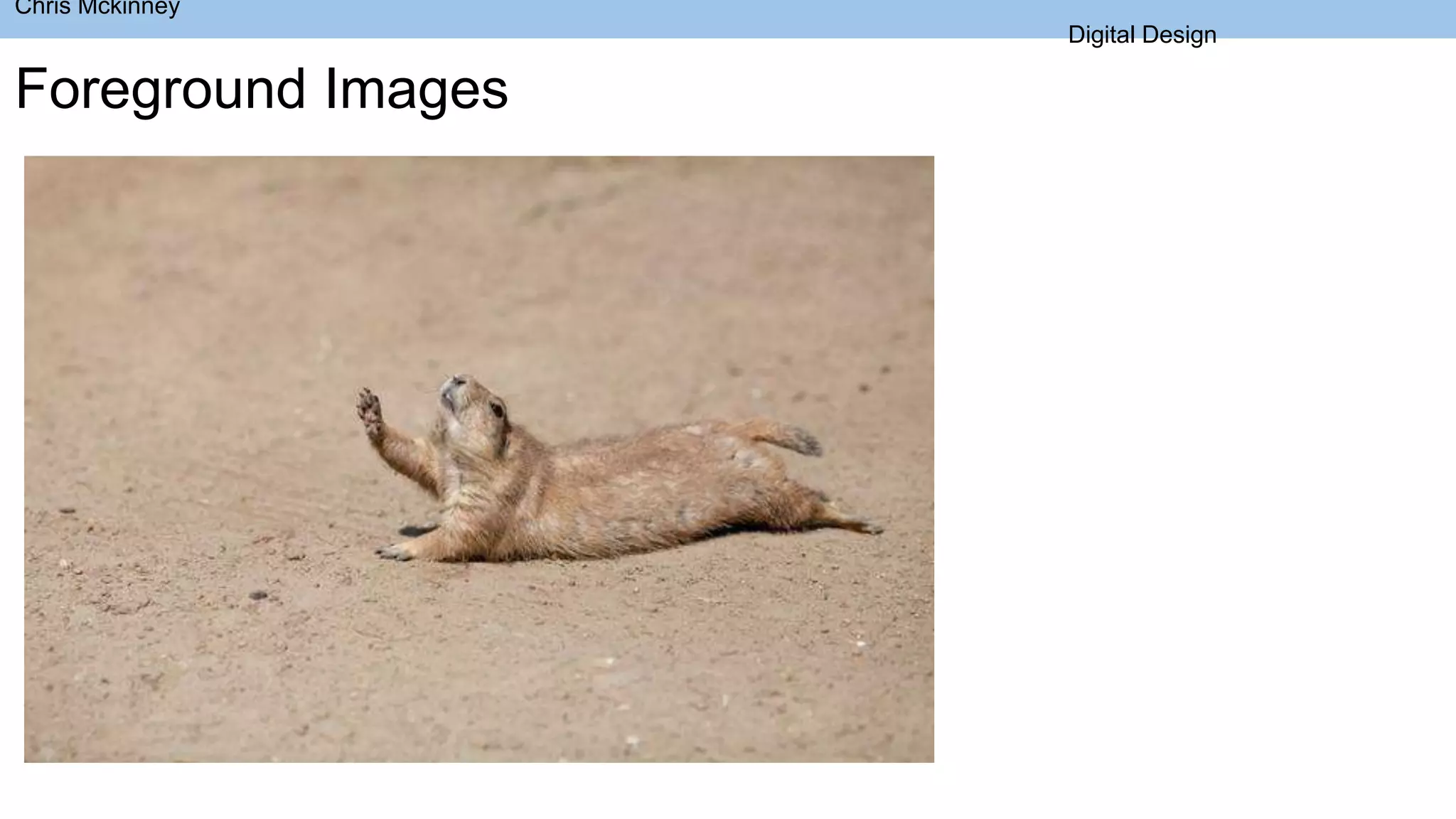 Chris Mckinney
Digital Design
Foreground Images
 