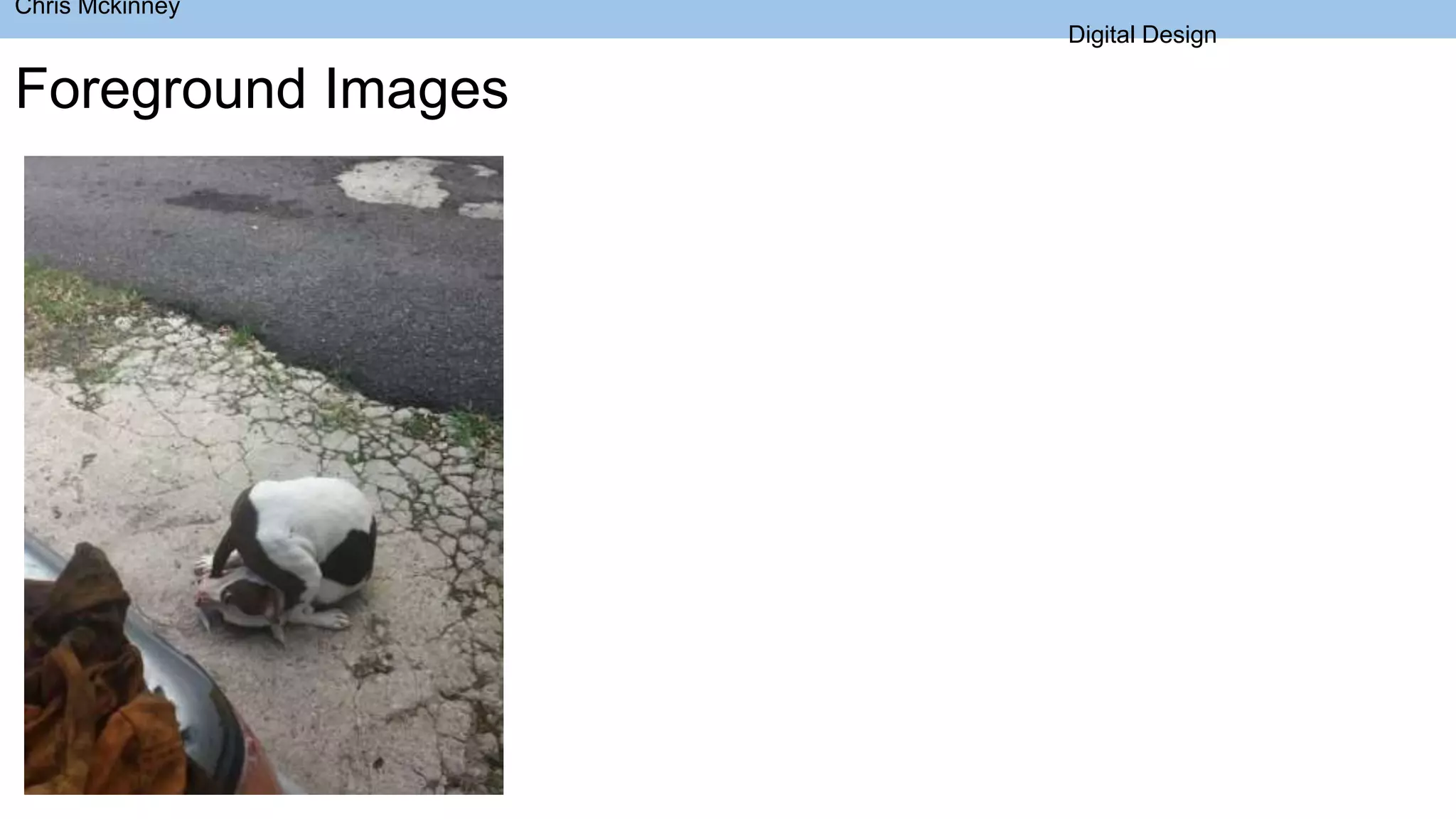 Chris Mckinney
Digital Design
Foreground Images
 