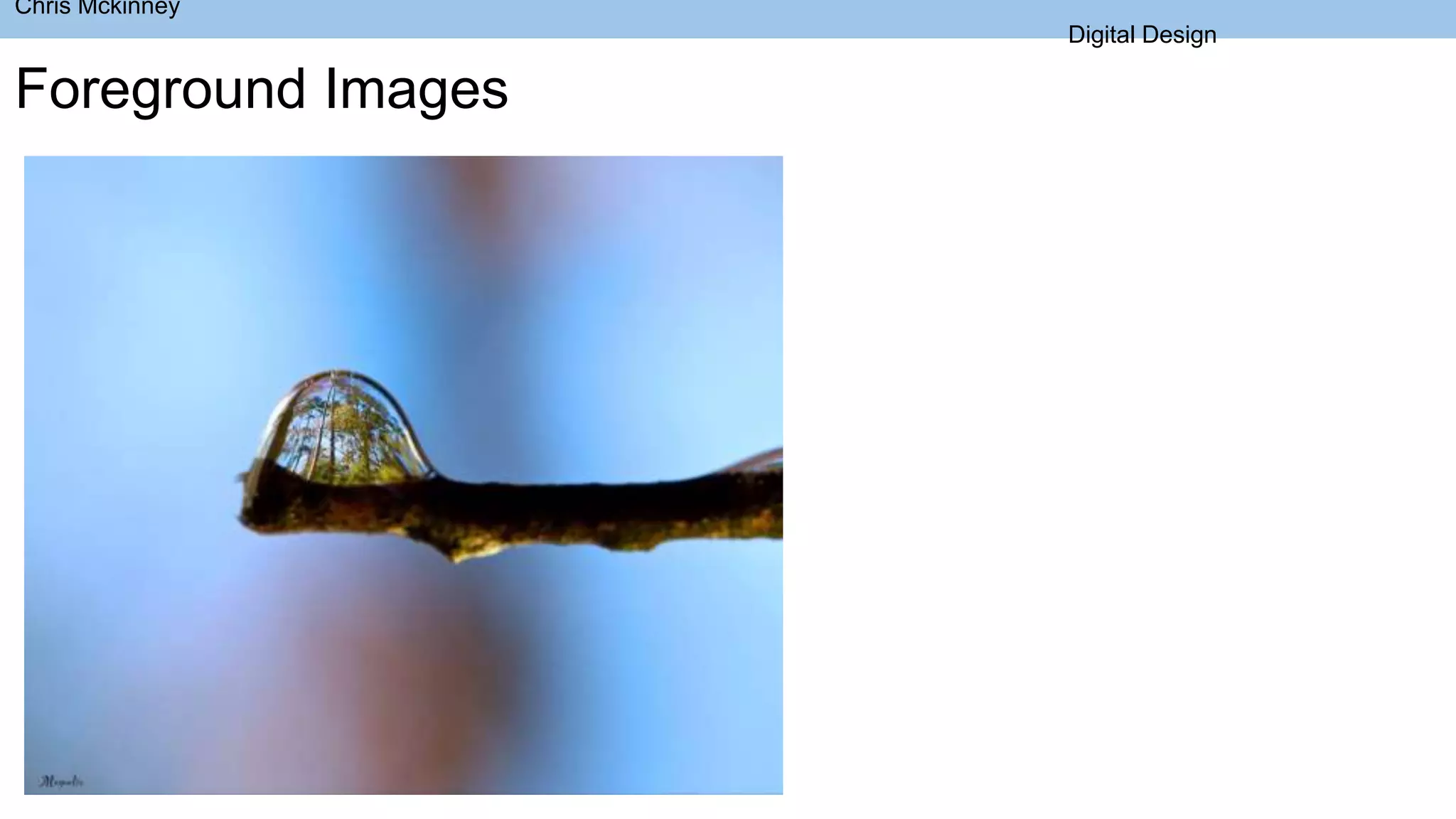 Chris Mckinney
Digital Design
Foreground Images
 