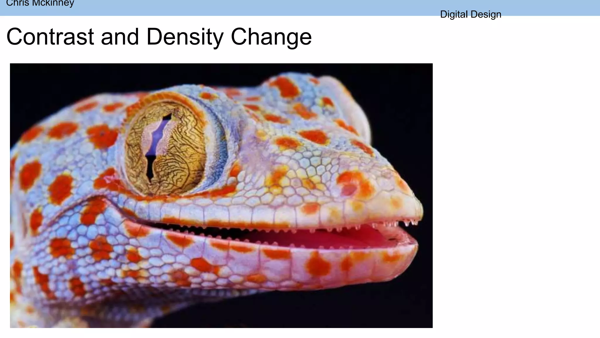 Contrast and Density Change
Chris Mckinney
Digital Design
 