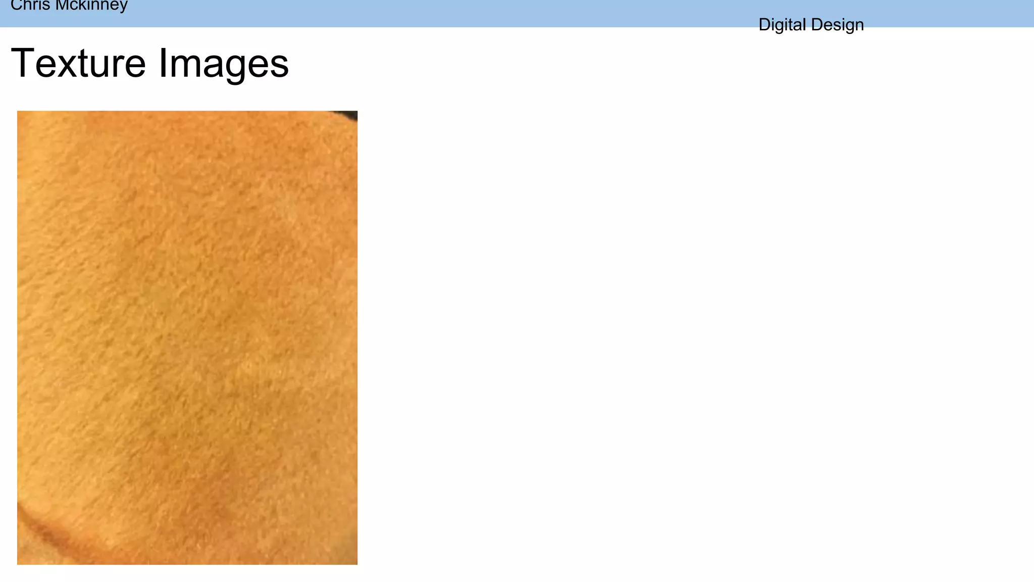 Chris Mckinney
Digital Design
Texture Images
 