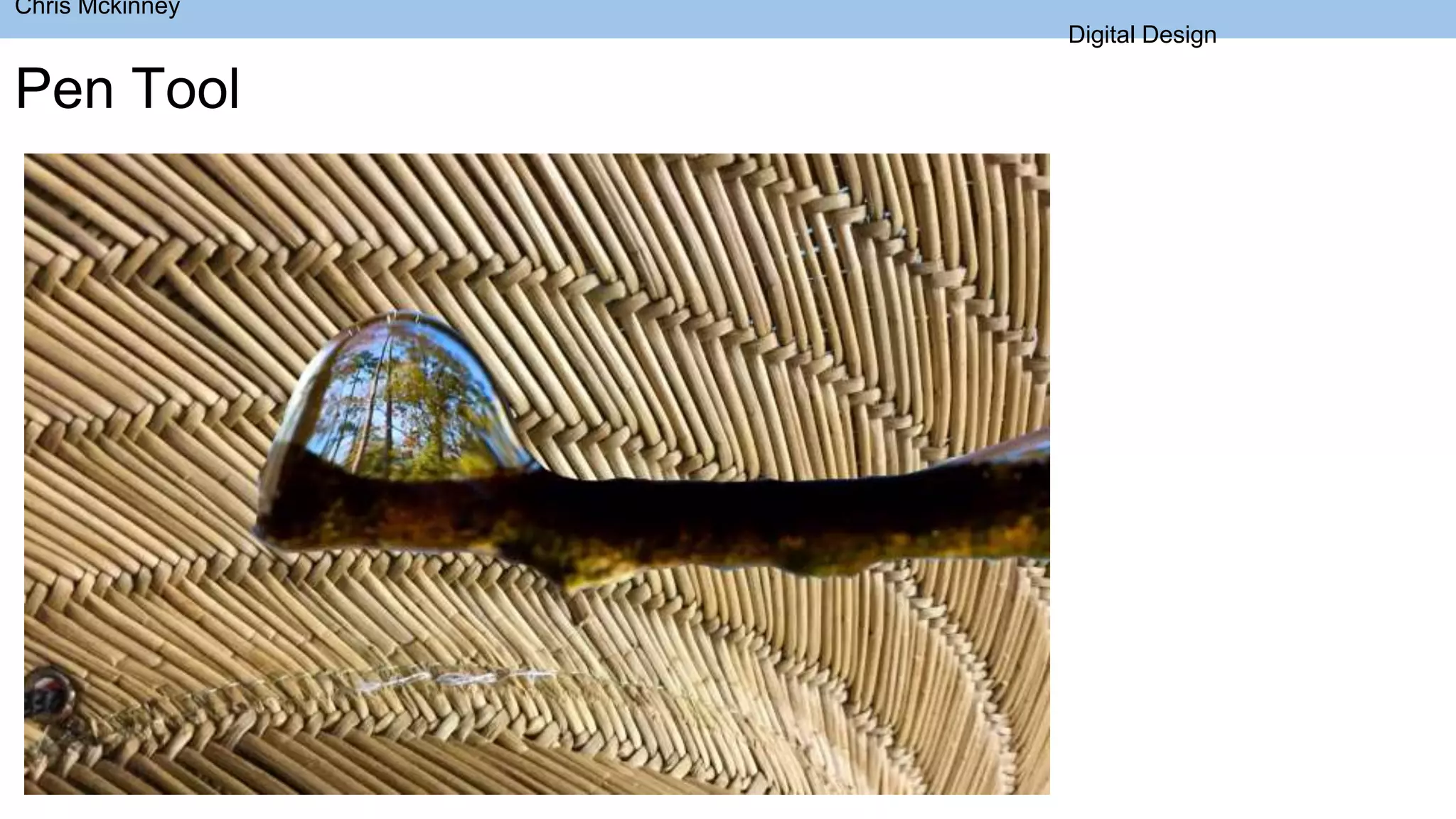 Pen Tool
Chris Mckinney
Digital Design
 