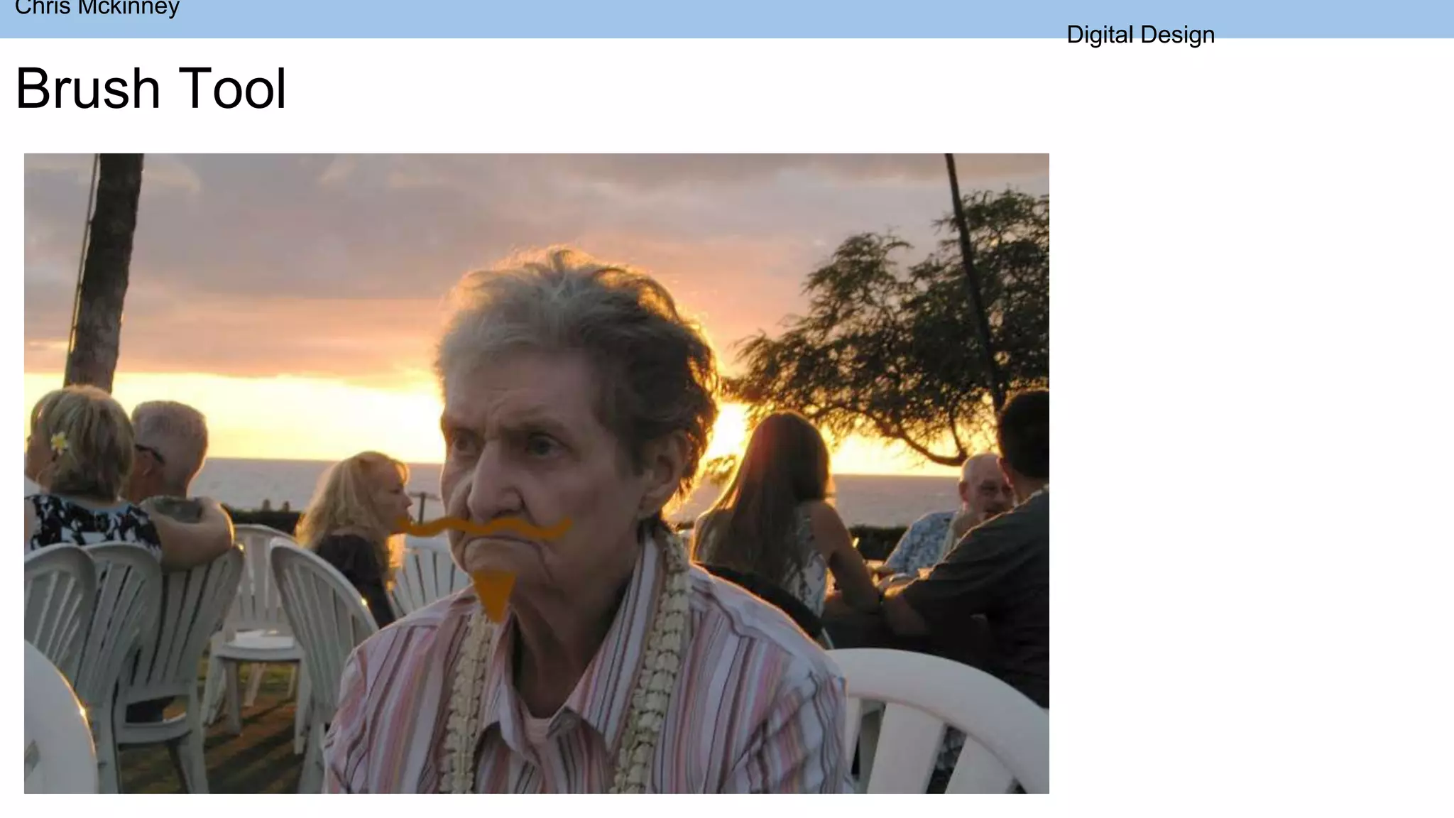 Brush Tool
Chris Mckinney
Digital Design
 