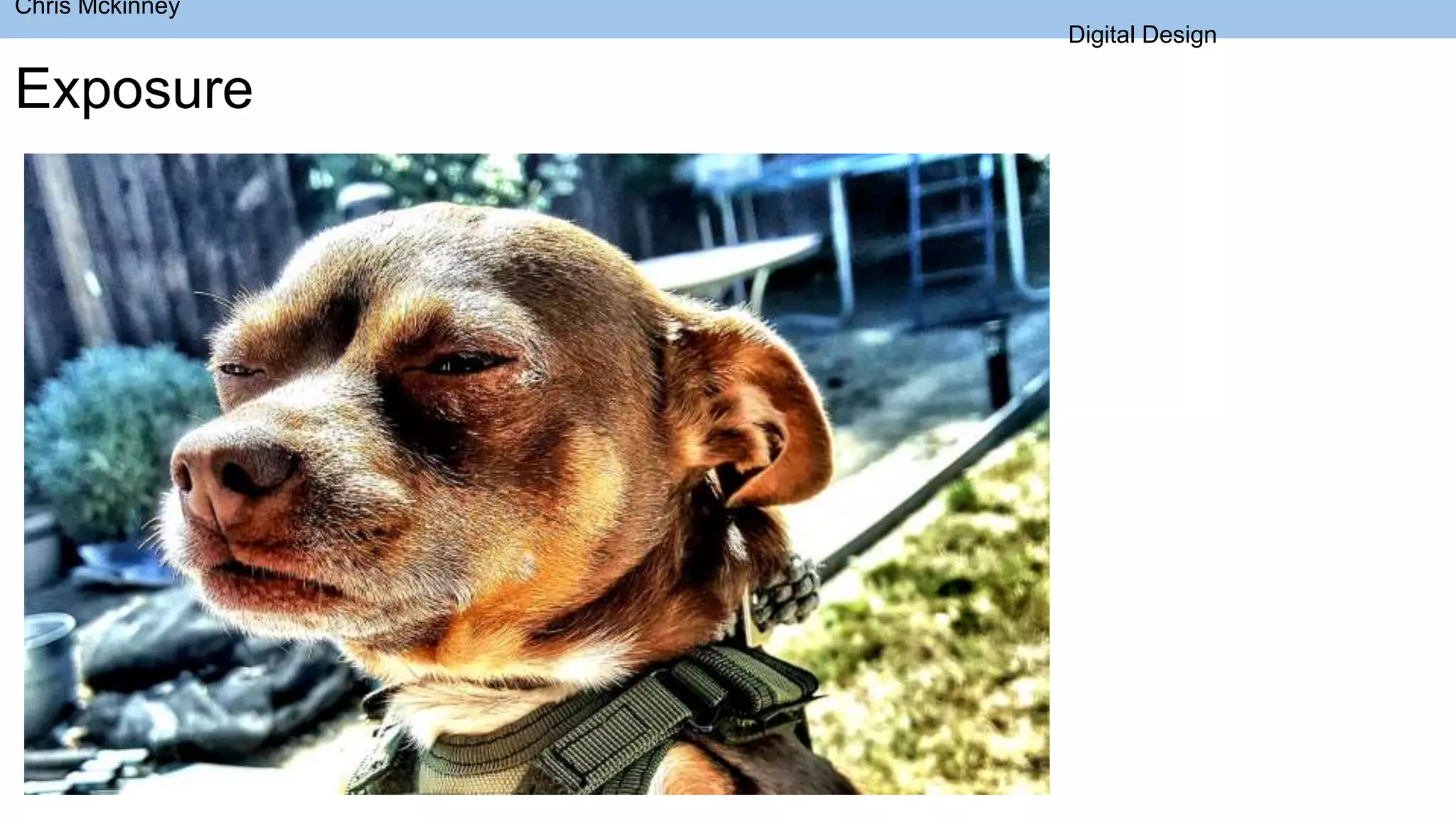 Exposure
Chris Mckinney
Digital Design
 