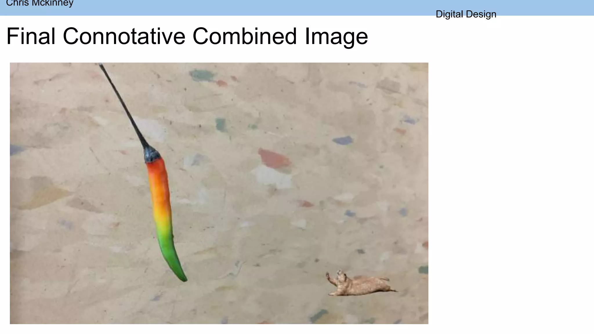 Final Connotative Combined Image
Chris Mckinney
Digital Design
 