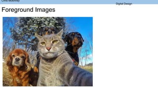 Chris Mckinney
Digital Design
Foreground Images
 