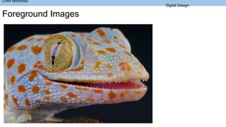 Chris Mckinney
Digital Design
Foreground Images
 