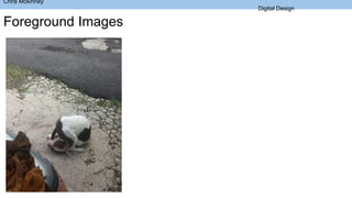 Chris Mckinney
Digital Design
Foreground Images
 