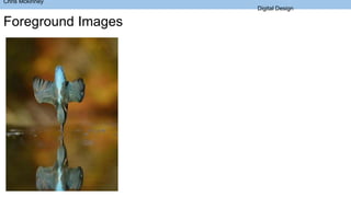 Chris Mckinney
Digital Design
Foreground Images
 