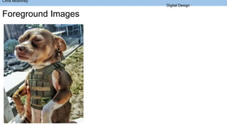 Chris Mckinney
Digital Design
Foreground Images
 