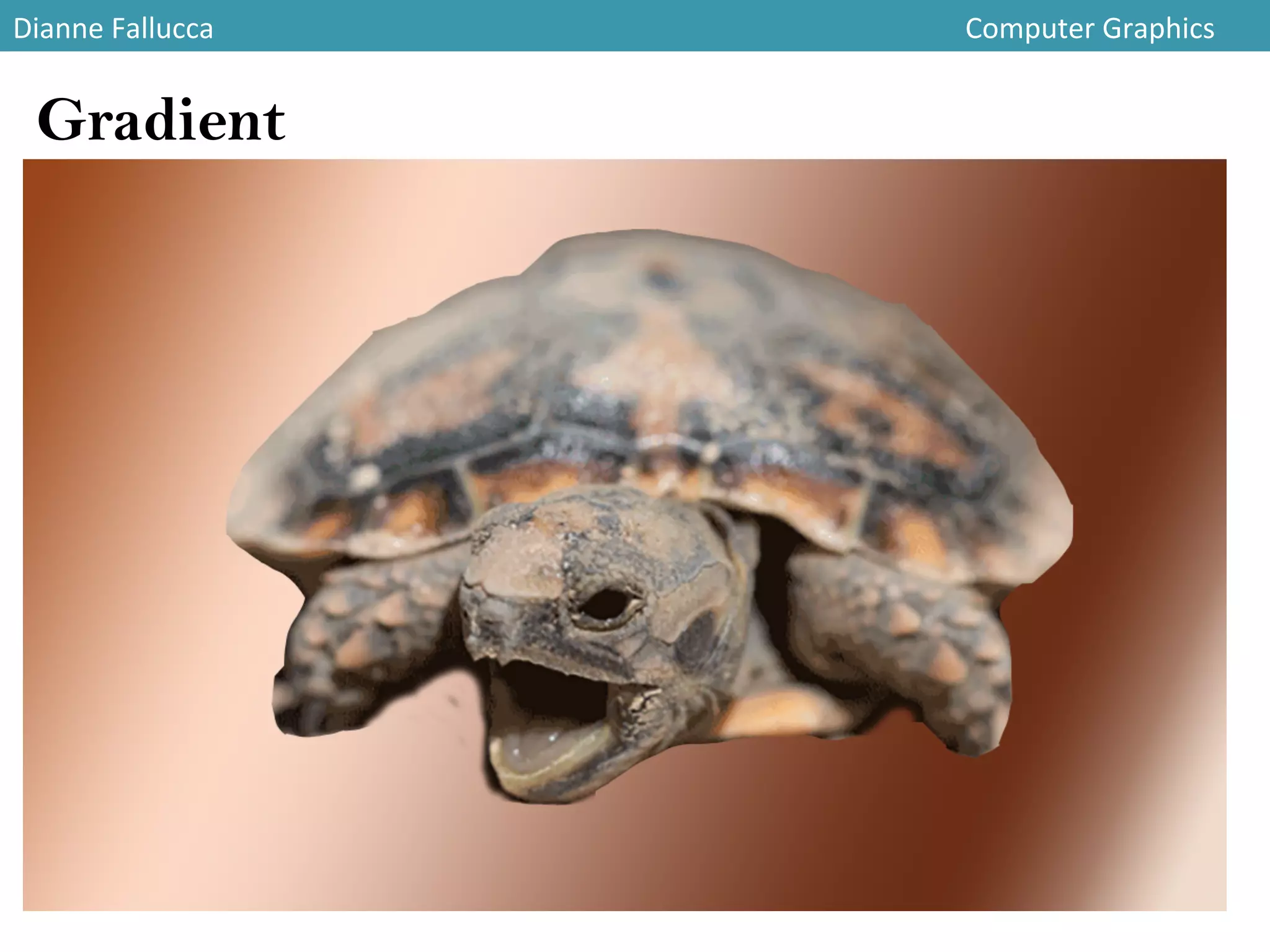 Dianne	
  Fallucca 	
   	
   	
   	
   	
   	
   	
   	
   	
   	
   	
   	
  Computer	
  Graphics	
  
Gradient
 