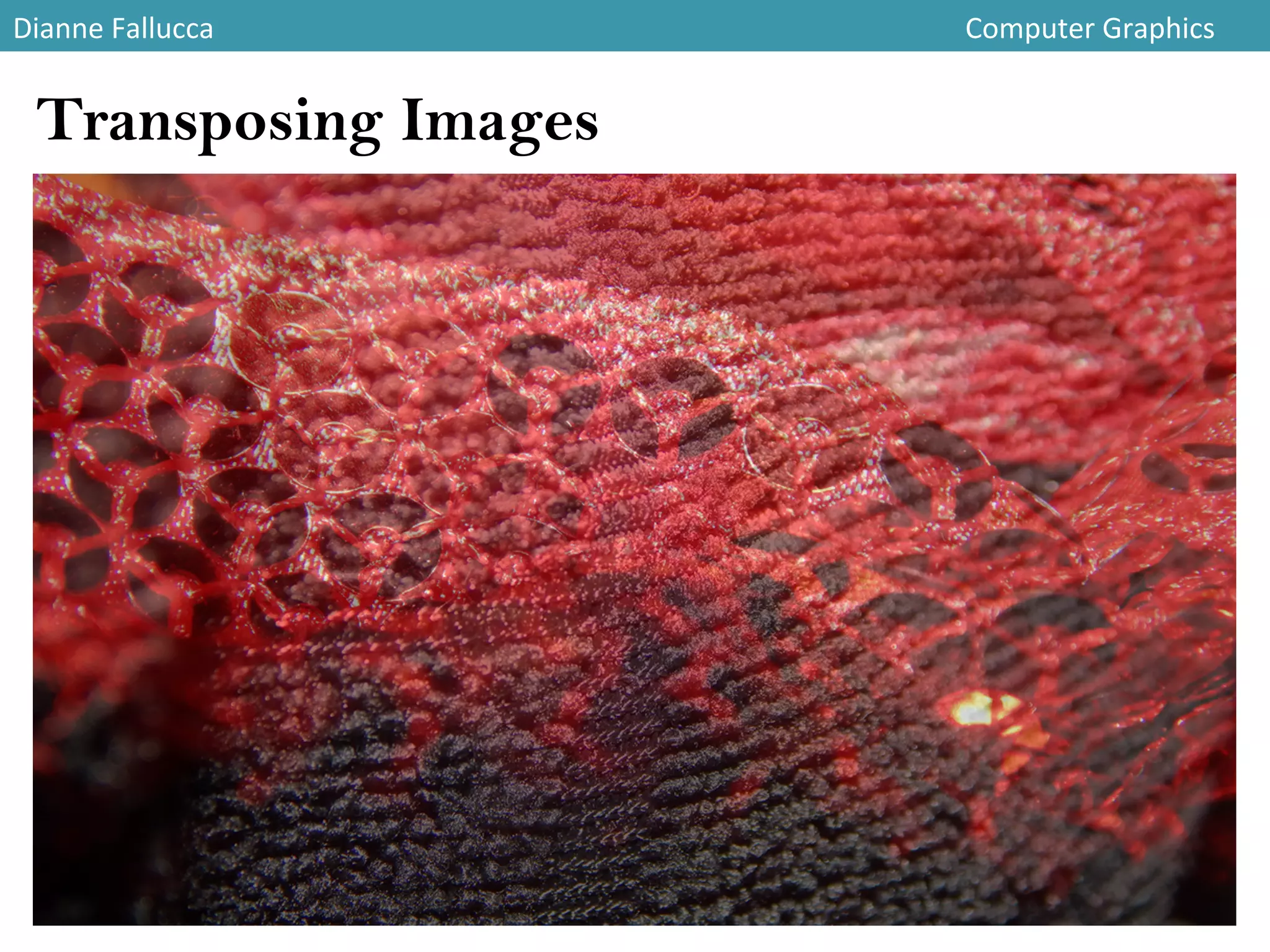 Dianne	
  Fallucca 	
   	
   	
   	
   	
   	
   	
   	
   	
   	
   	
   	
  Computer	
  Graphics	
  
Transposing Images
 