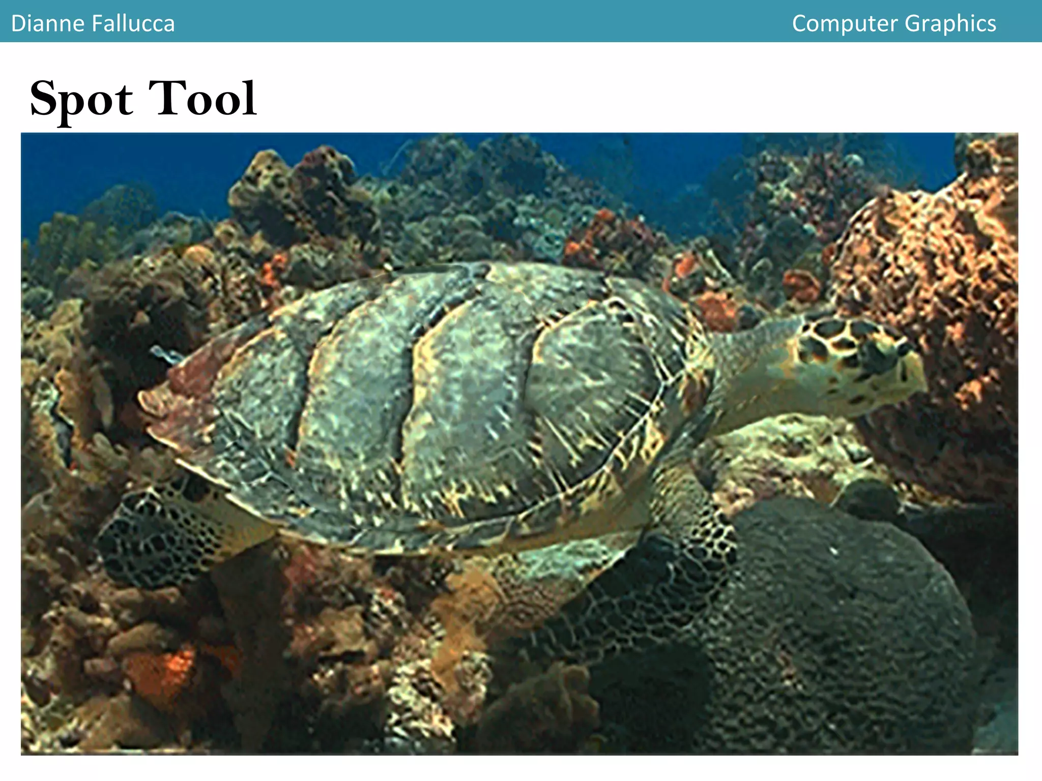 Dianne	
  Fallucca 	
   	
   	
   	
   	
   	
   	
   	
   	
   	
   	
   	
  Computer	
  Graphics	
  
Spot Tool
 