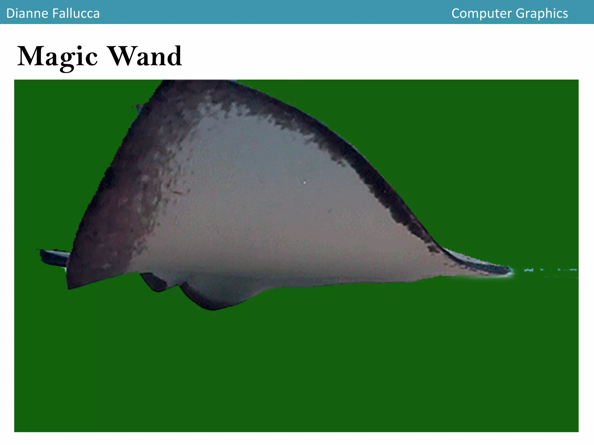 Dianne	
  Fallucca 	
   	
   	
   	
   	
   	
   	
   	
   	
   	
   	
   	
  Computer	
  Graphics	
  
Magic Wand
 