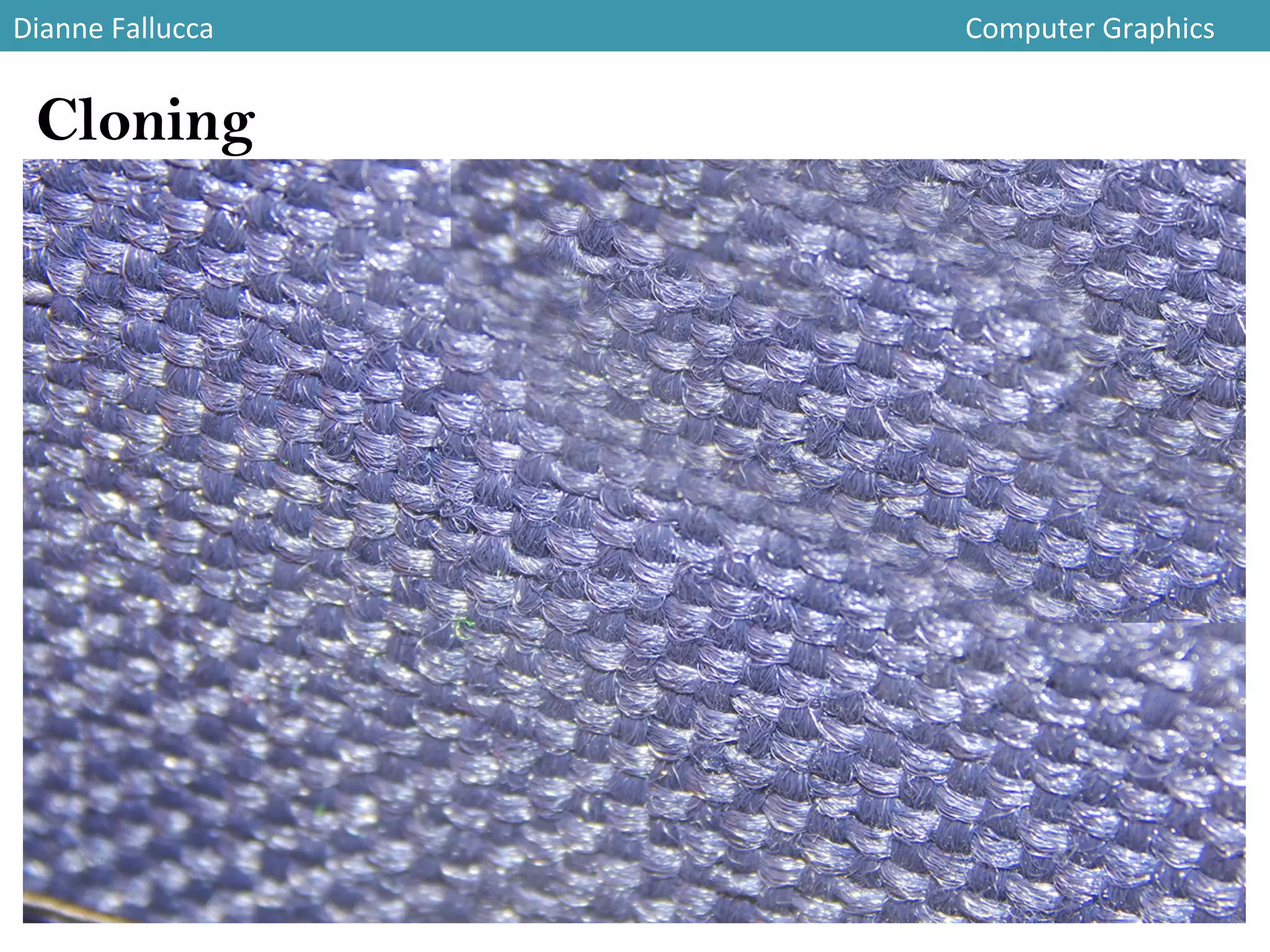 Dianne	
  Fallucca 	
   	
   	
   	
   	
   	
   	
   	
   	
   	
   	
   	
  Computer	
  Graphics	
  
Cloning
 
