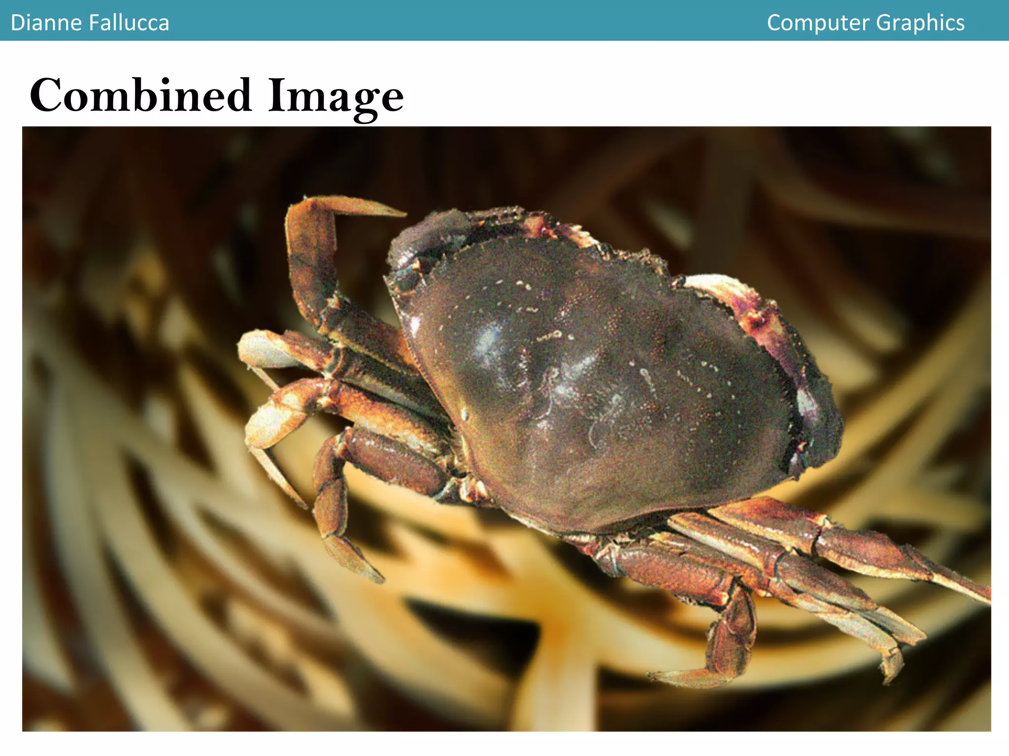Dianne	
  Fallucca 	
   	
   	
   	
   	
   	
   	
   	
   	
   	
   	
   	
  Computer	
  Graphics	
  
Combined Image
 