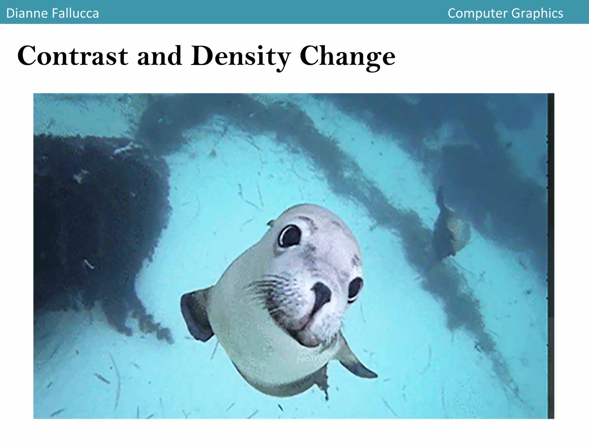 Dianne	
  Fallucca 	
   	
   	
   	
   	
   	
   	
   	
   	
   	
   	
   	
  Computer	
  Graphics	
  
Contrast and Density Change
 