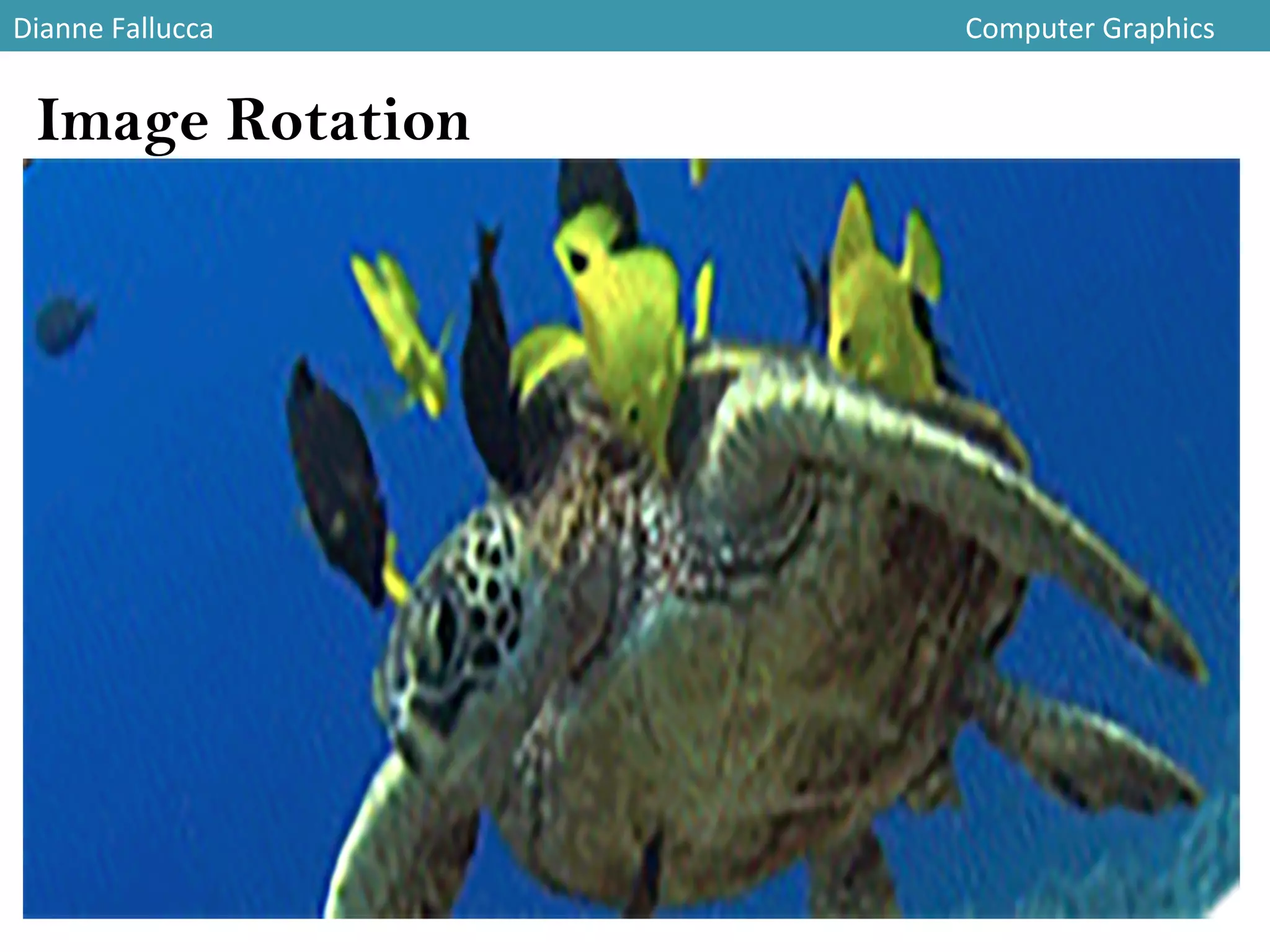 Dianne	
  Fallucca 	
   	
   	
   	
   	
   	
   	
   	
   	
   	
   	
   	
  Computer	
  Graphics	
  
Image Rotation
 