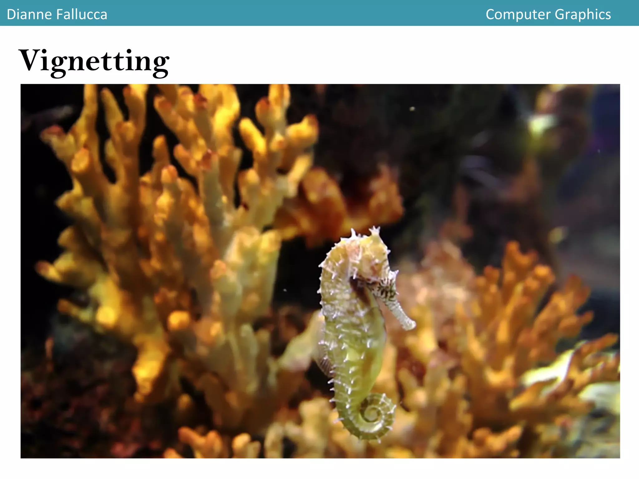 Dianne	
  Fallucca 	
   	
   	
   	
   	
   	
   	
   	
   	
   	
   	
   	
  Computer	
  Graphics	
  
Vignetting
 