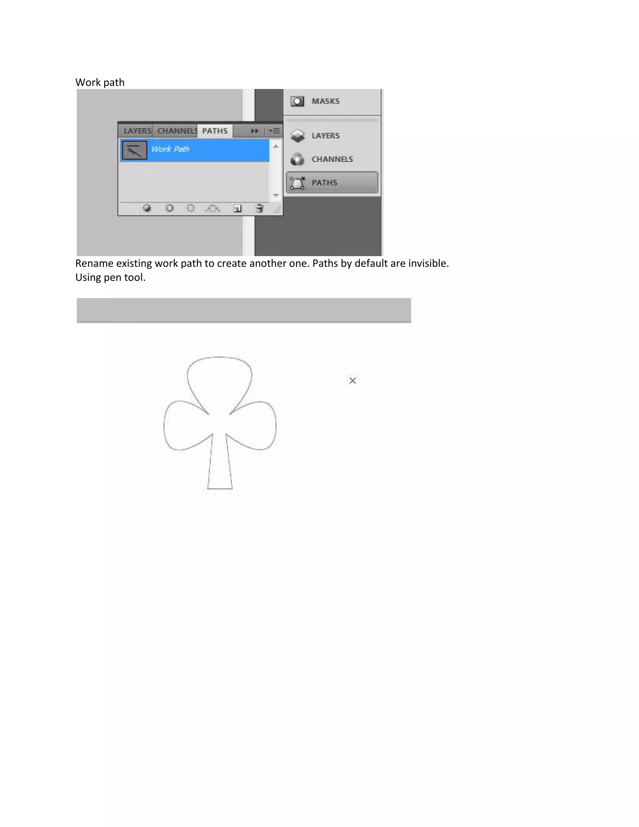 Work path




Rename existing work path to create another one. Paths by default are invisible.
Using pen tool.
 