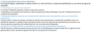 5. (Opcional) Añada texto y otros elementos.
En el panel Página, especifique si desea imprimir un color de fondo, su placa de identificación y una marca de agua de
copyright.
6. Especifique los ajustes de impresión.
En el panel Trabajo de impresión, realice una de estas acciones:
• Especifique una resolución de impresión o deje los ajustes por defecto (240 ppp). Consulte “Establecimiento de la
resolución de impresión”.
7. (Opcional) Guarde las opciones y la composición de impresión como una plantilla o como una colección de
impresiones.
Si piensa volver a utilizar los ajustes, incluidas las opciones de superposición y composición, guárdelos como una
plantilla de impresión a medida. O bien, guarde los ajustes como una colección de impresiones para conservar una
serie de opciones específicas del módulo Imprimir con una colección de fotografías.
8. Haga clic en el botón Imprimir y especifique las opciones del controlador de la impresora.
Elija la impresora y defina las opciones antes de hacer clic en OK (Windows) o Imprimir (Mac OS). Si Lightroom está
gestionando el color, desactive la gestión del color en los ajustes de la impresora.
 