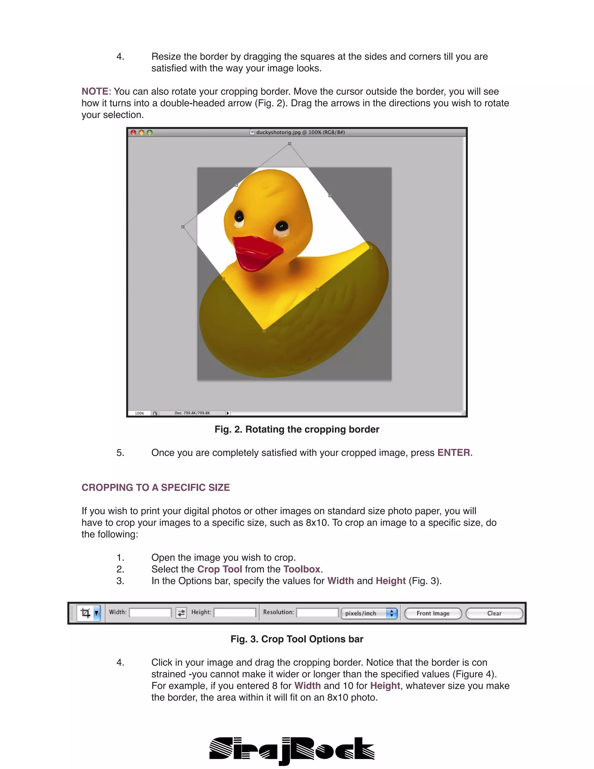 4. 	 Resize the border by dragging the squares at the sides and corners till you are 		
		 satisfied with the way your image looks.
NOTE: You can also rotate your cropping border. Move the cursor outside the border, you will see
how it turns into a double-headed arrow (Fig. 2). Drag the arrows in the directions you wish to rotate
your selection.
Fig. 2. Rotating the cropping border
	 5. 	 Once you are completely satisfied with your cropped image, press ENTER.
CROPPING TO A SPECIFIC SIZE
If you wish to print your digital photos or other images on standard size photo paper, you will
have to crop your images to a specific size, such as 8x10. To crop an image to a specific size, do
the following:
	 1. 	 Open the image you wish to crop.
	 2. 	 Select the Crop Tool from the Toolbox.
	 3. 	 In the Options bar, specify the values for Width and Height (Fig. 3).
Fig. 3. Crop Tool Options bar
	 4. 	 Click in your image and drag the cropping border. Notice that the border is con		
		 strained -you cannot make it wider or longer than the specified values (Figure 4). 		
		 For example, if you entered 8 for Width and 10 for Height, whatever size you make 	
		 the border, the area within it will fit on an 8x10 photo.
 